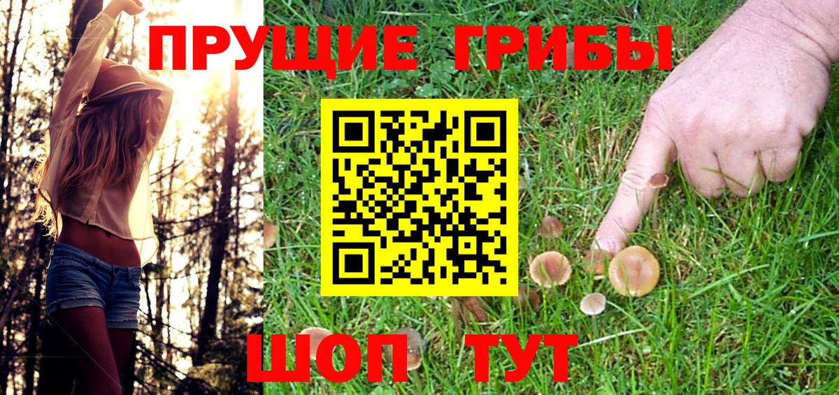 Псилоцибиновые грибы прущие грибы  Вход с VPN  Скопин 