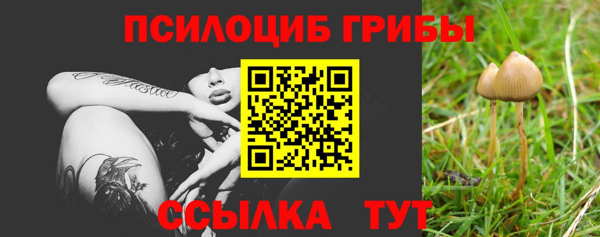 Псилоцибиновые грибы прущие грибы Скопин